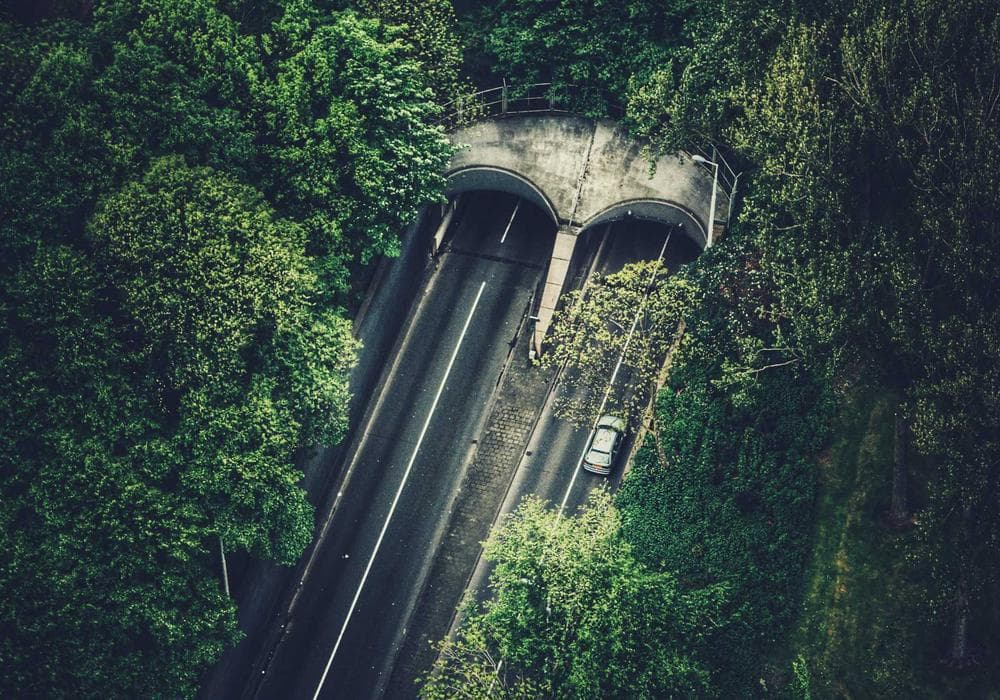 Architectural exterior with cinematic mood lighting